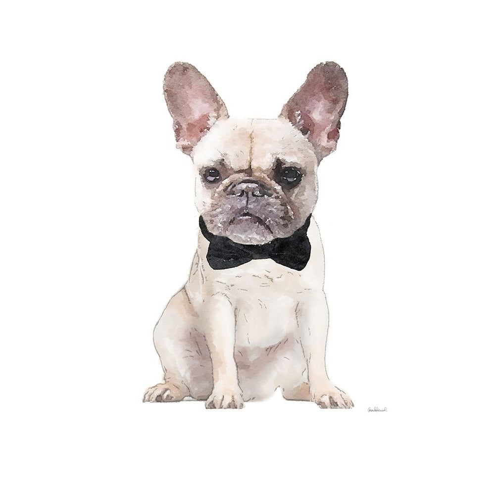 Frenchie II Poster Print by Amanda Greenwood-VARPDXAGD116452 Image 1