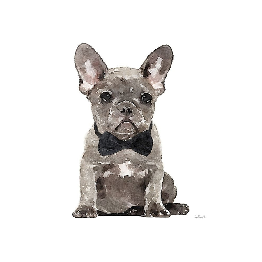 Frenchie IV Poster Print by Amanda Greenwood-VARPDXAGD116454 Image 1