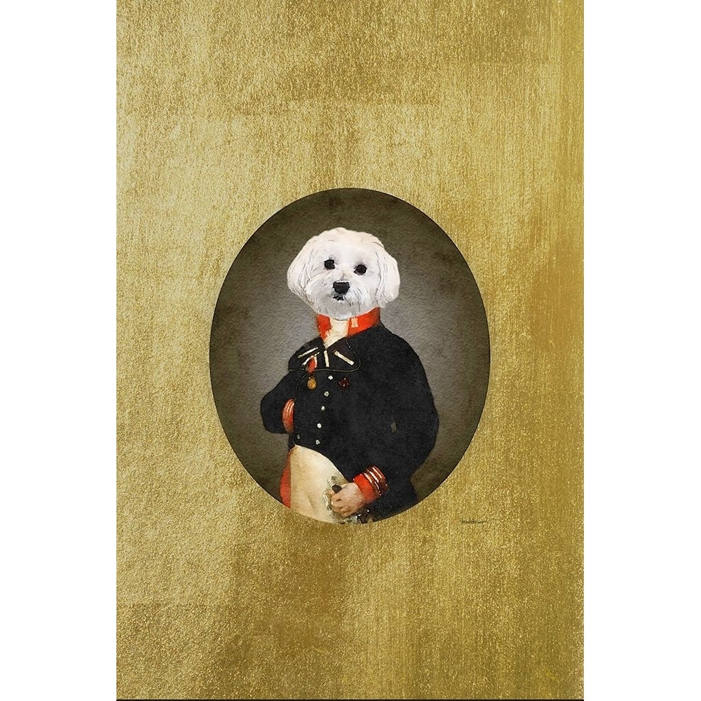 All Dressed up Bichon Frison Poster Print by Amanda Greenwood Amanda Greenwood-VARPDXAGD117268 Image 1