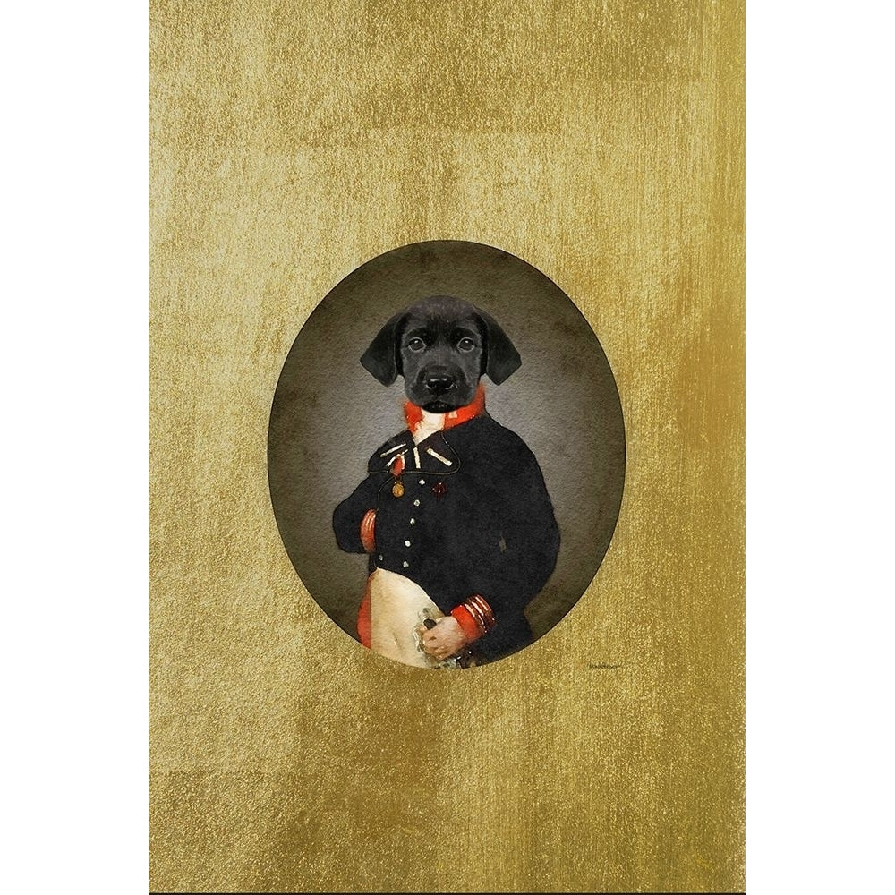 All Dressed up Labrador Poster Print by Amanda Greenwood Amanda Greenwood-VARPDXAGD117266 Image 1