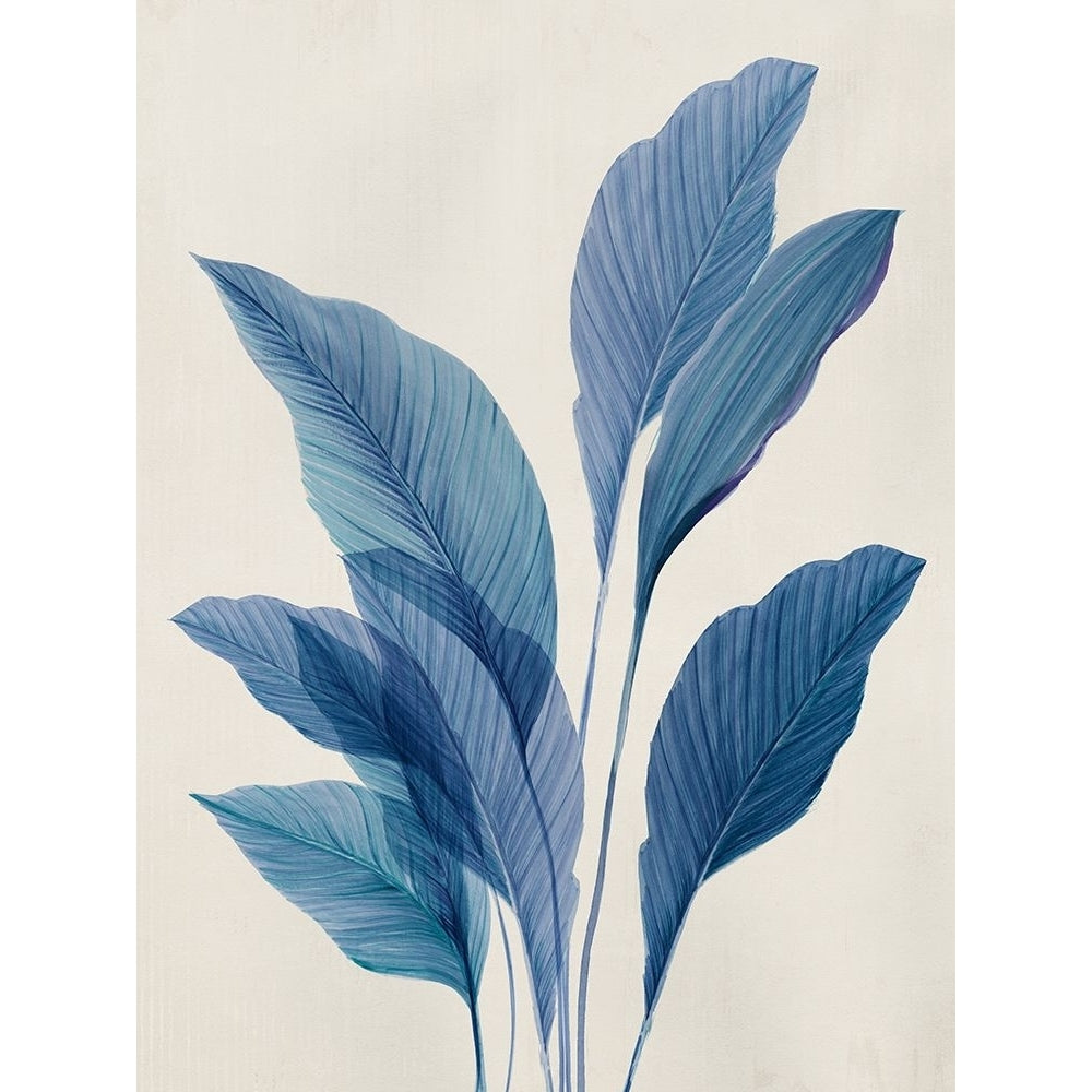 Blue Palm Leaves II Poster Print - Aria K-VARPDXAK028A Image 1