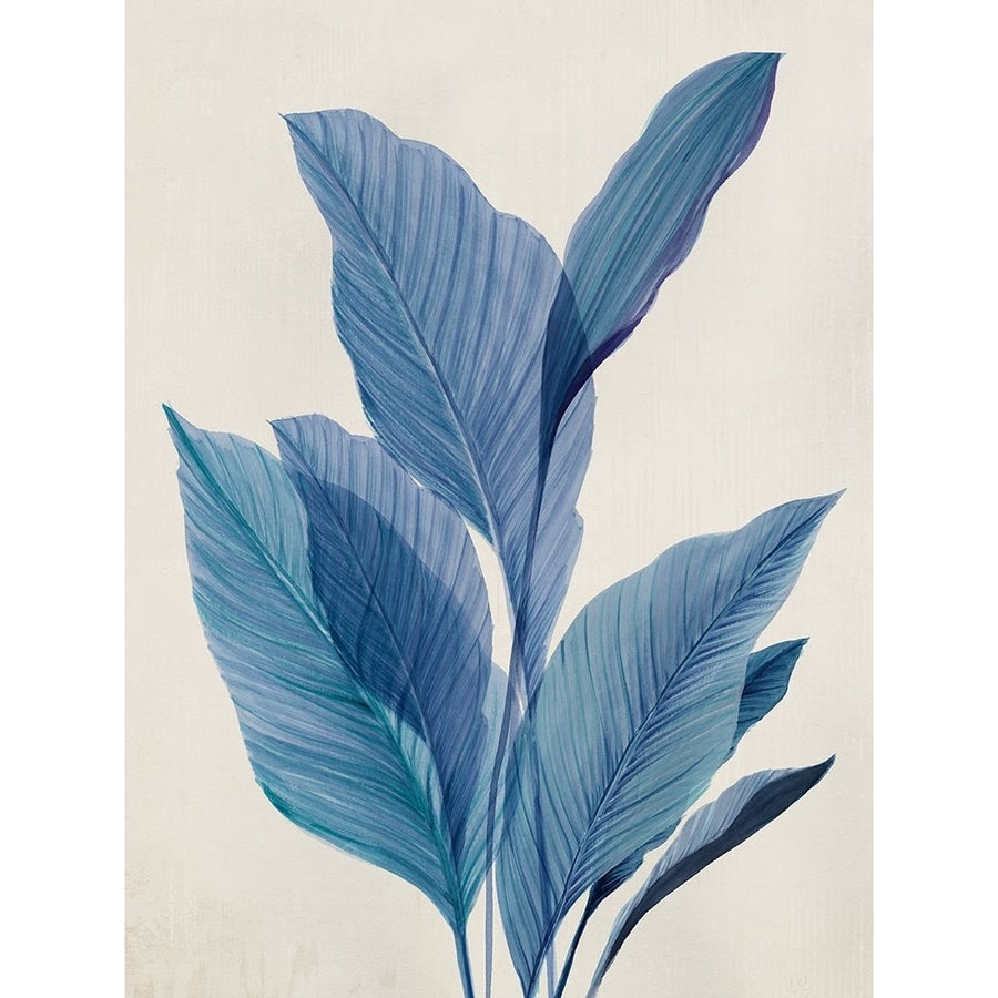 Blue Palm Leaves I Poster Print - Aria K-VARPDXAK027A Image 1