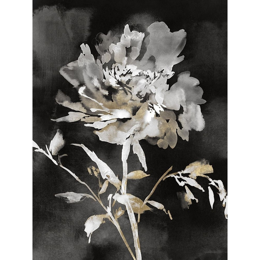 Moody Floral II Poster Print - K Aria-VARPDXAK060A Image 1