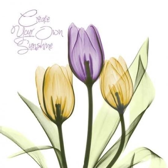 Purple Sunshine Tulips Poster Print by Albert Koetsier-VARPDXAK5SQ099D2 Image 2