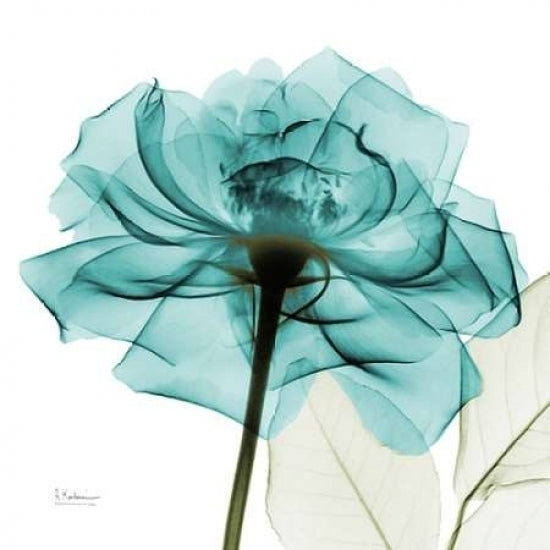 Teal Rose Poster Print by Albert Koetsier-VARPDXAK5SQ359A3 Image 2