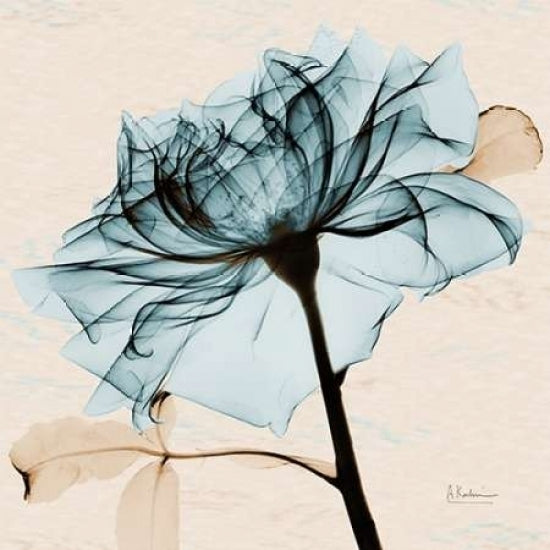 Teal Rose 2 Poster Print by Albert Koetsier-VARPDXAK5SQ359D Image 2