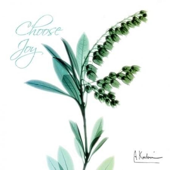 Choose Joy Lily of The Valley H12 Poster Print by Albert Koetsier-VARPDXAK7SQ015A2 Image 1