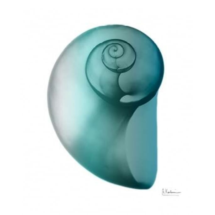 Water Snail 2 Poster Print by Albert Koetsier-VARPDXAK8RC005B Image 2