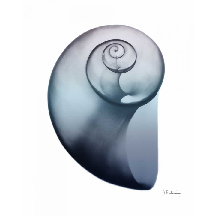 Lavender Snail 2 Poster Print by Albert Koetsier-VARPDXAK8RC016B3 Image 1