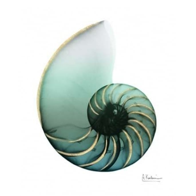 Shimmering Snail 4 Poster Print by Albert Koetsier-VARPDXAK8RC016D Image 2