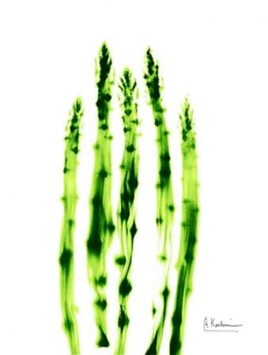 Asparagus Stock Poster Print by Albert Koetsier-VARPDXAK8RC020B Image 1