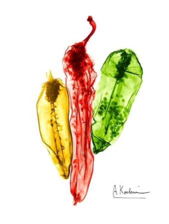 Peppers Picante Poster Print by Albert Koetsier-VARPDXAK8RC020A Image 1