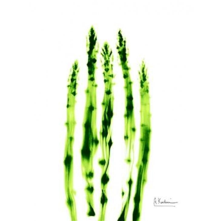 Asparagus Stock Poster Print by Albert Koetsier-VARPDXAK8RC020B Image 2