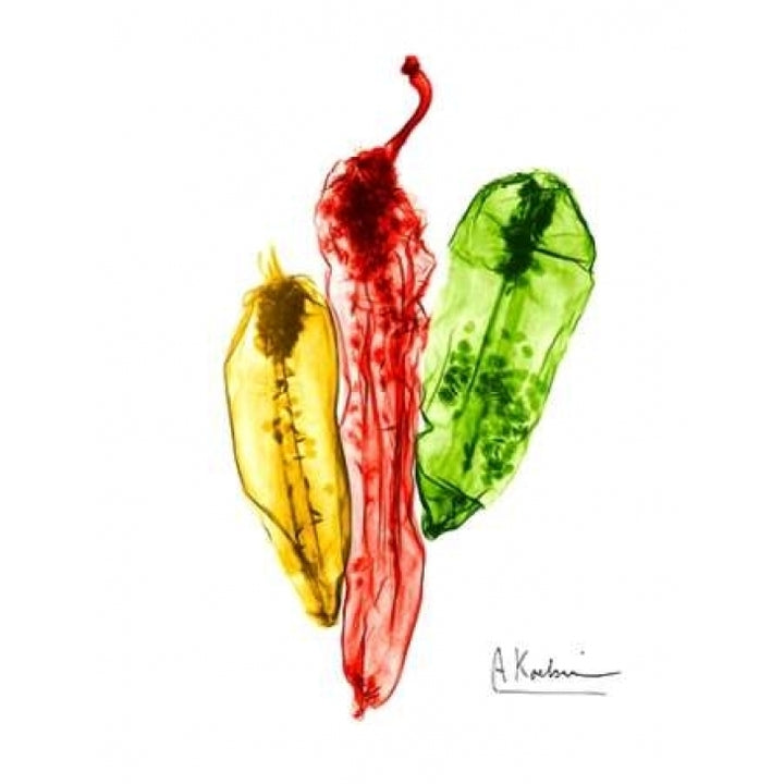 Peppers Picante Poster Print by Albert Koetsier-VARPDXAK8RC020A Image 2