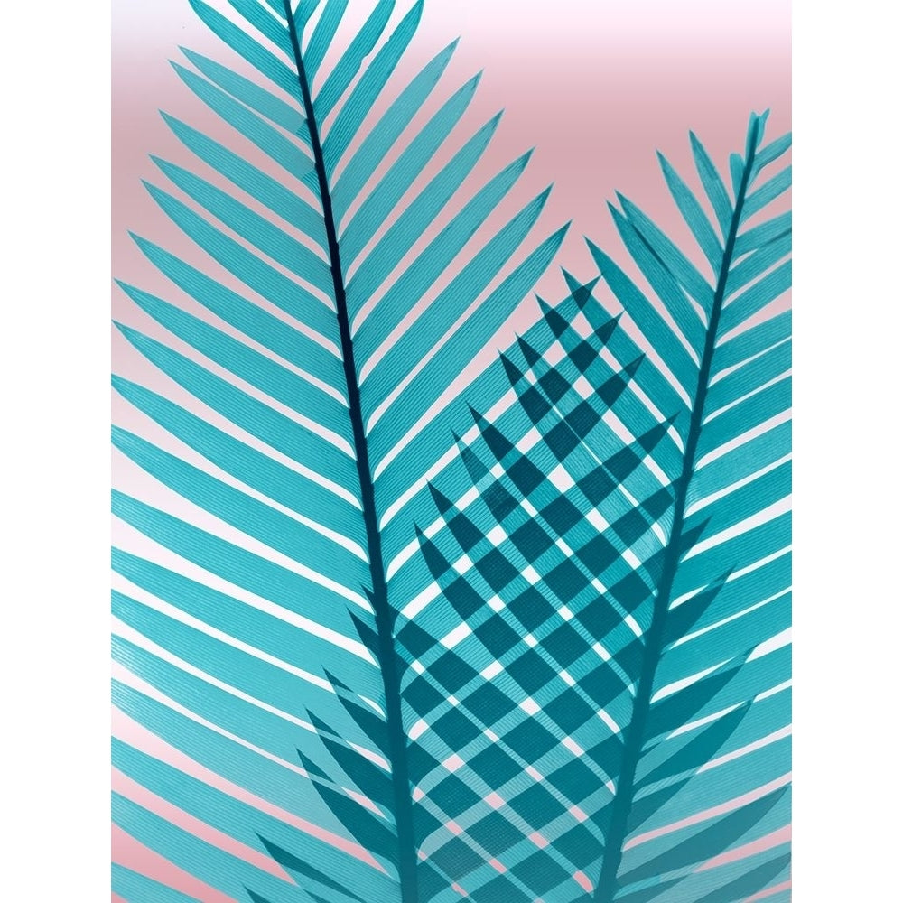 Cotton Candy Fern Poster Print by Albert Koetsier-VARPDXAK8RC066A1 Image 2