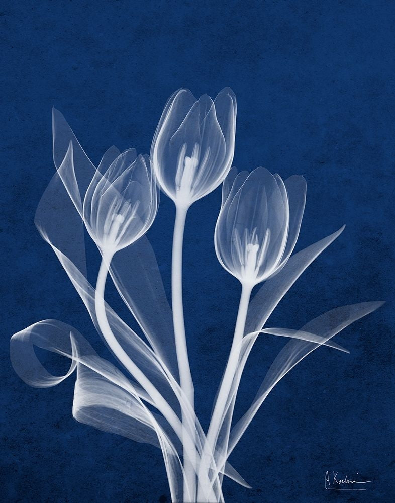 Ecto Indigo Tulips Poster Print by Albert Koetsier-VARPDXAK8RC205A Image 1