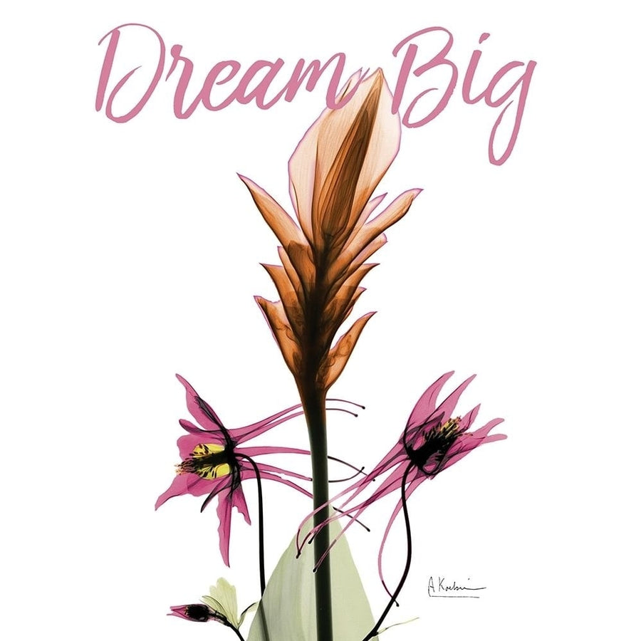 Dream Big Floral Poster Print by Albert Koetsier-VARPDXAK8RC577A Image 1