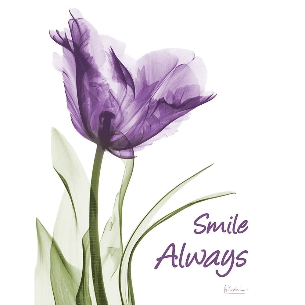 Smile Smiling Tulip Poster Print by Albert Koetsier-VARPDXAK8RC577C Image 1