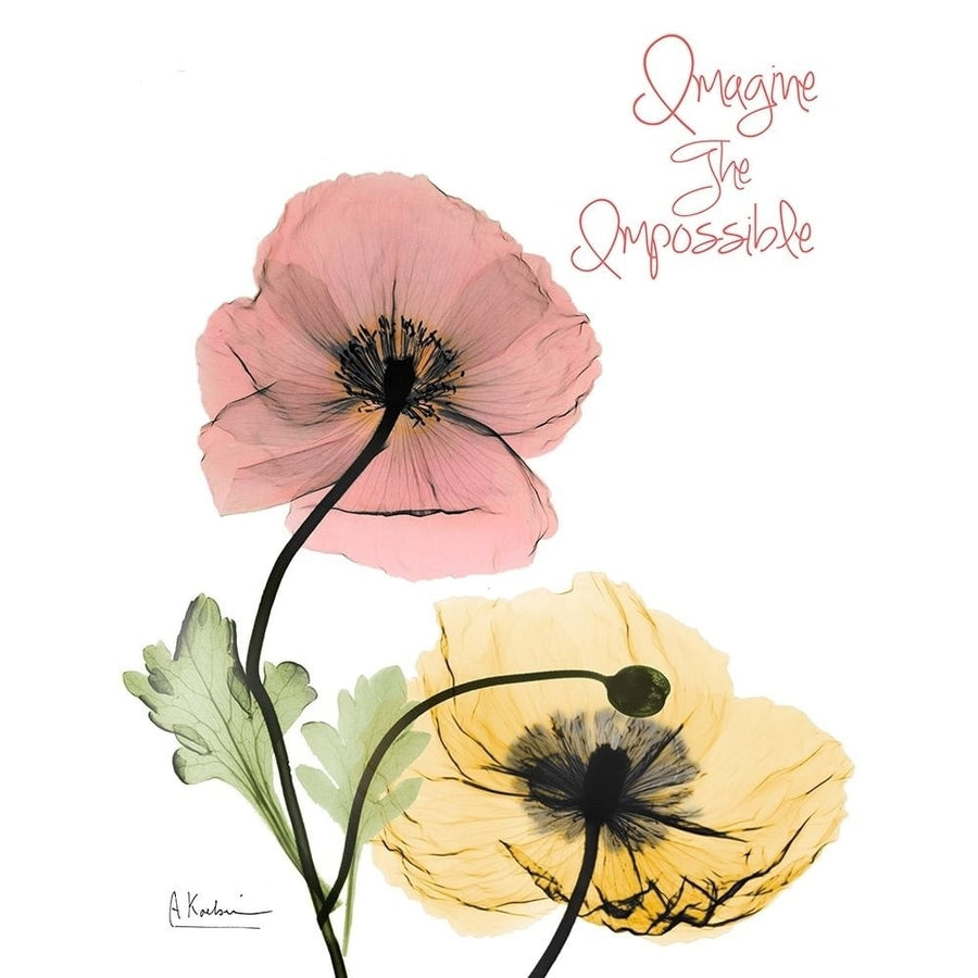 Impossible Poppies Poster Print by Albert Koetsier-VARPDXAK8RC577G Image 1