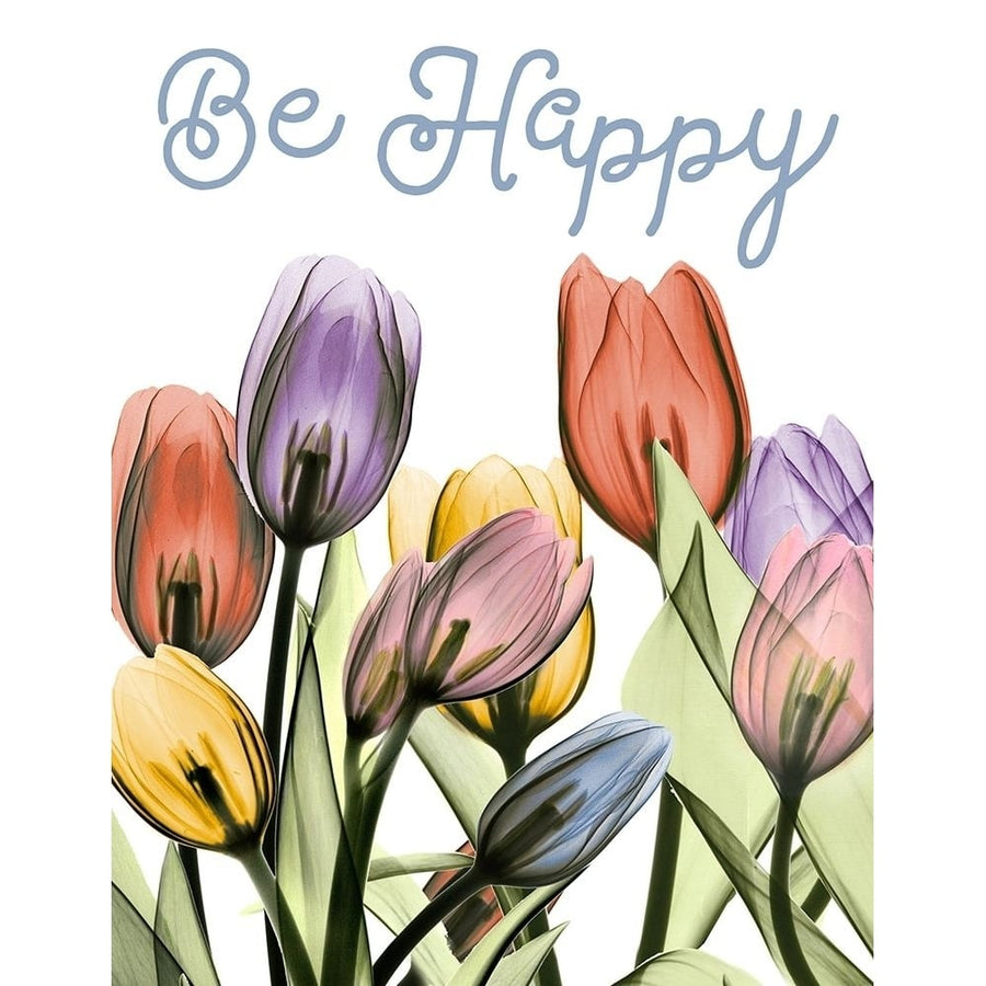 Happy Tulipscape Poster Print by Albert Koetsier-VARPDXAK8RC577M Image 1