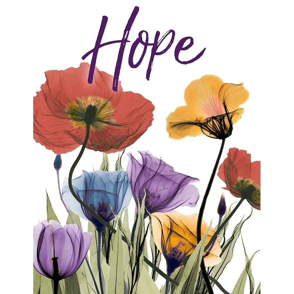 Hopeful Flowerscape Poster Print by Albert Koetsier-VARPDXAK8RC577K Image 1