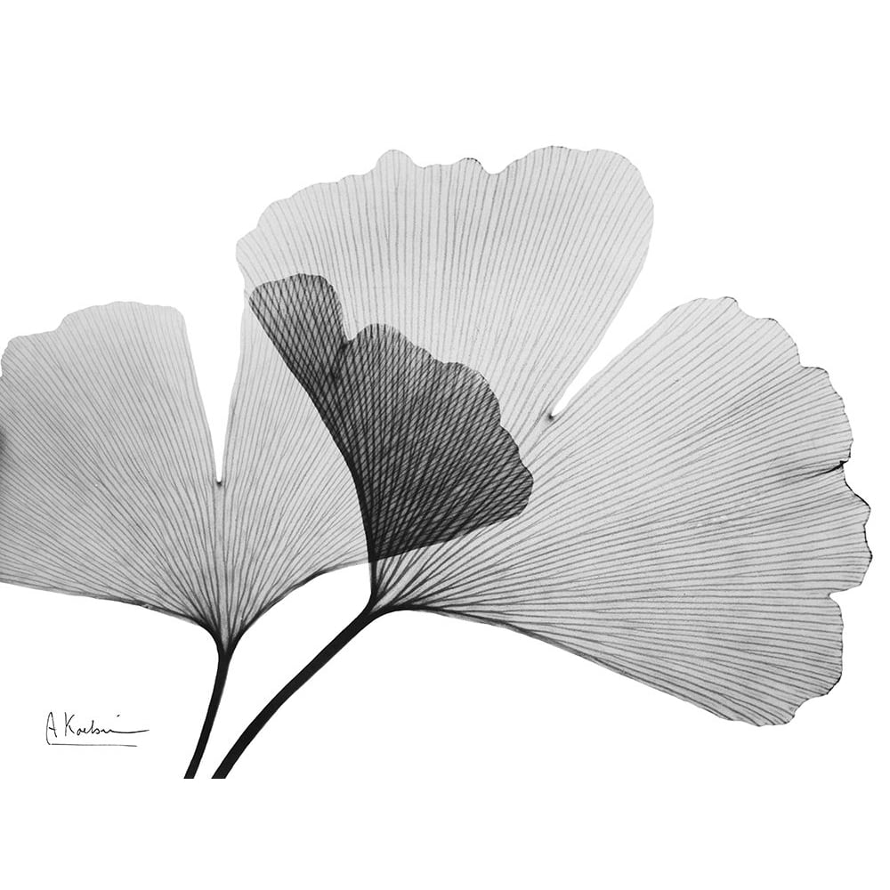 Inverted Ginko 3 Poster Print by Albert Koetsier-VARPDXAK8RC595C Image 1