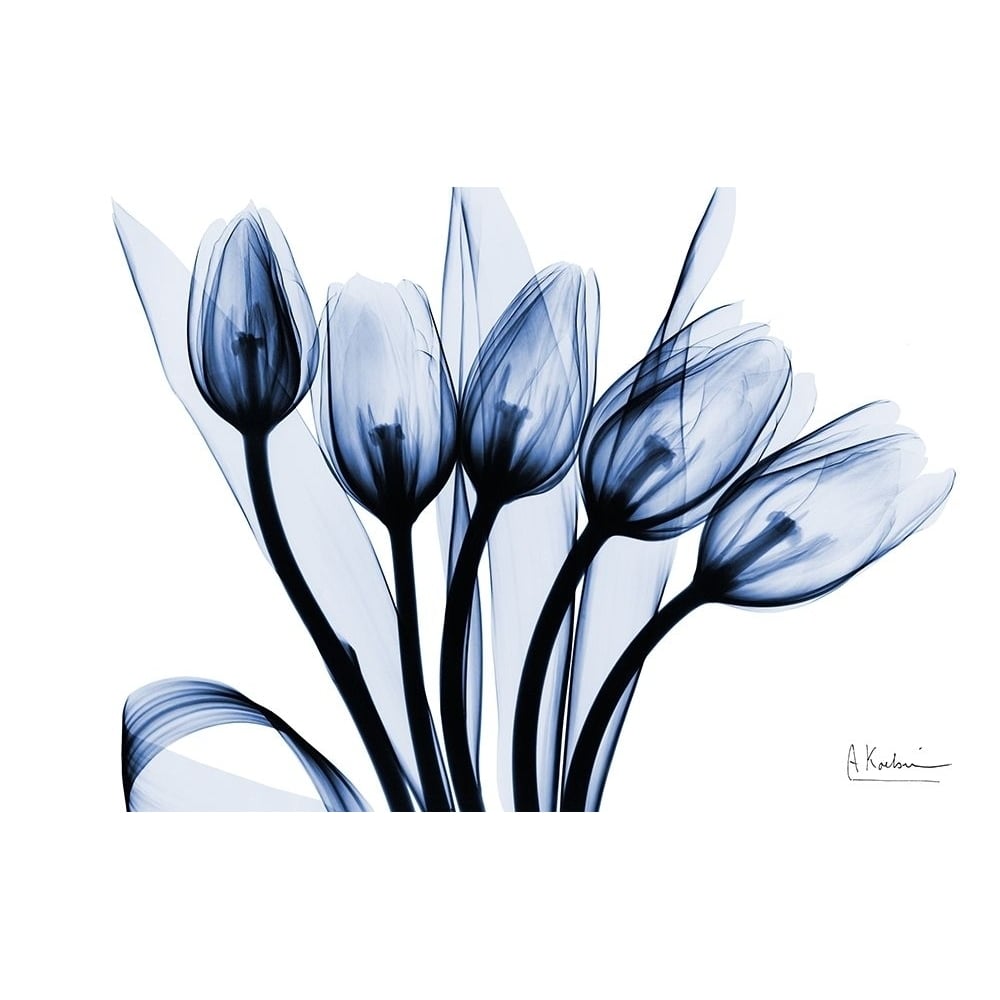 Marvelous Indigo Tulips 2 by Albert Koetsier-VARPDXAK8RC630A Image 1