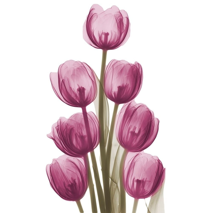 Vibrant Tulip Tower by Albert Koetsier-VARPDXAK8RC689B Image 1