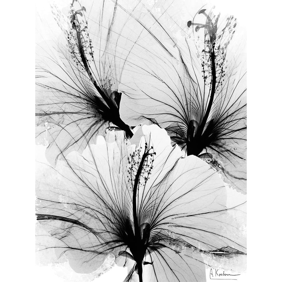 Floral Abstract 1 Poster Print - Albert Koetsier-VARPDXAK8RC714A Image 1