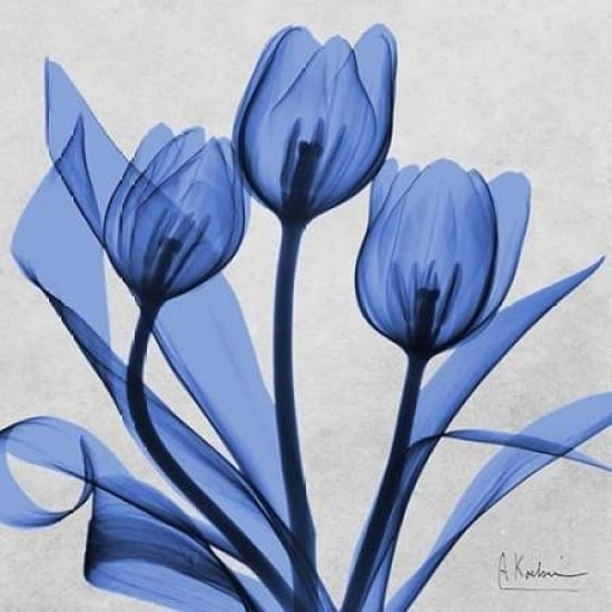 Midnight tulips 2 Poster Print by Albert Koetsier-VARPDXAK8SQ034B Image 1