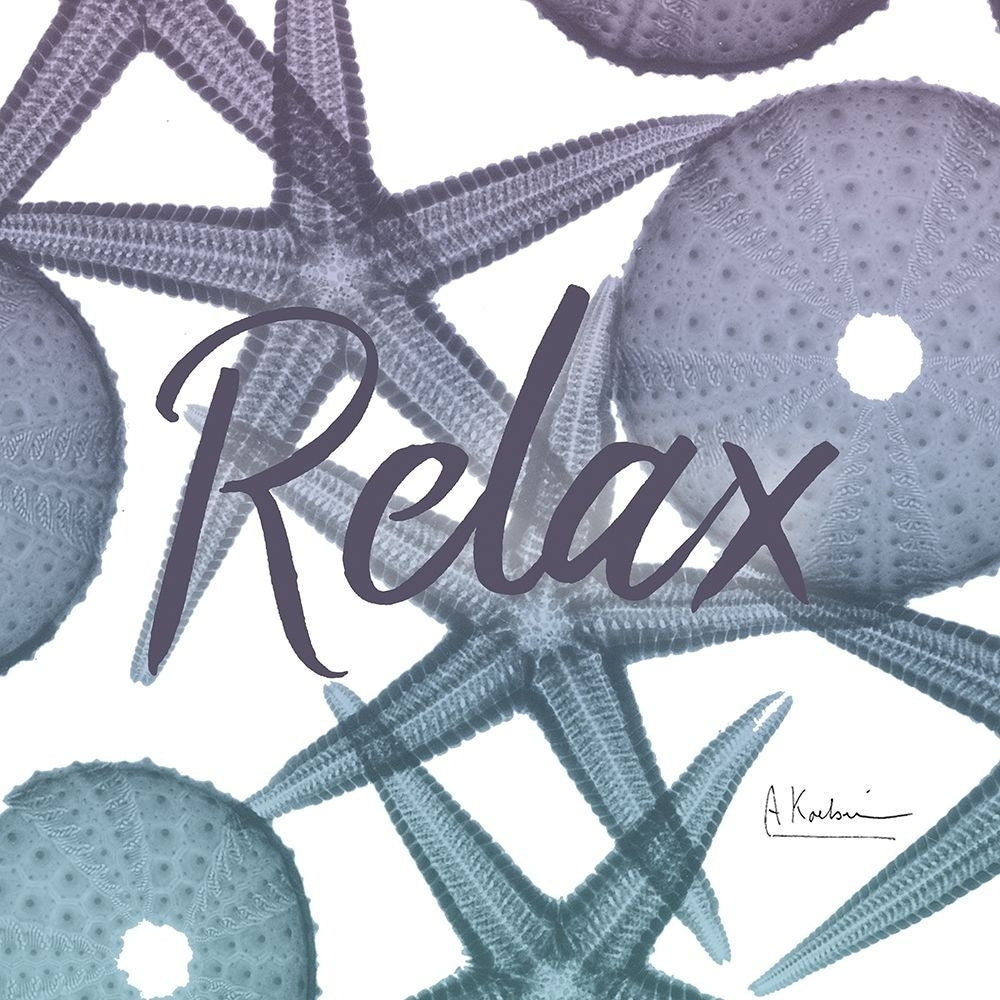 Relaxing Starfish Poster Print by Albert Koetsier-VARPDXAK8SQ065A Image 1