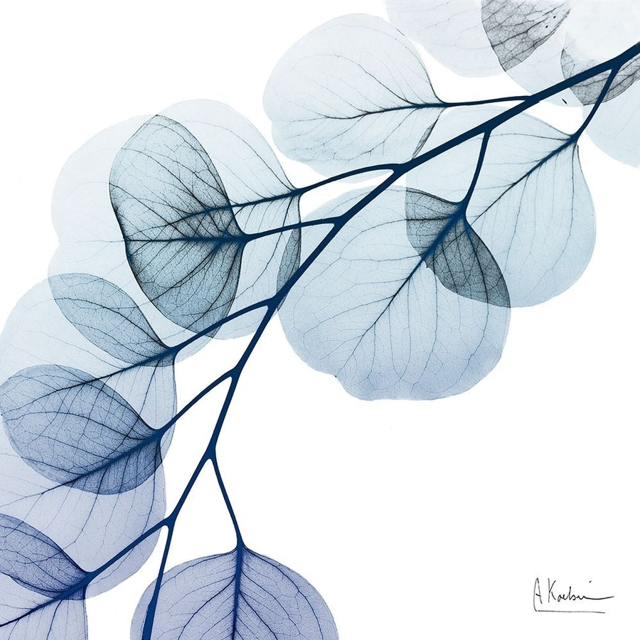 Blue Eucalyptus 1 by Albert Koetsier-VARPDXAK8SQ215A2 Image 1