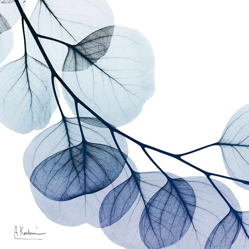 Blue Eucalyptus 2 by Albert Koetsier-VARPDXAK8SQ215B2 Image 1