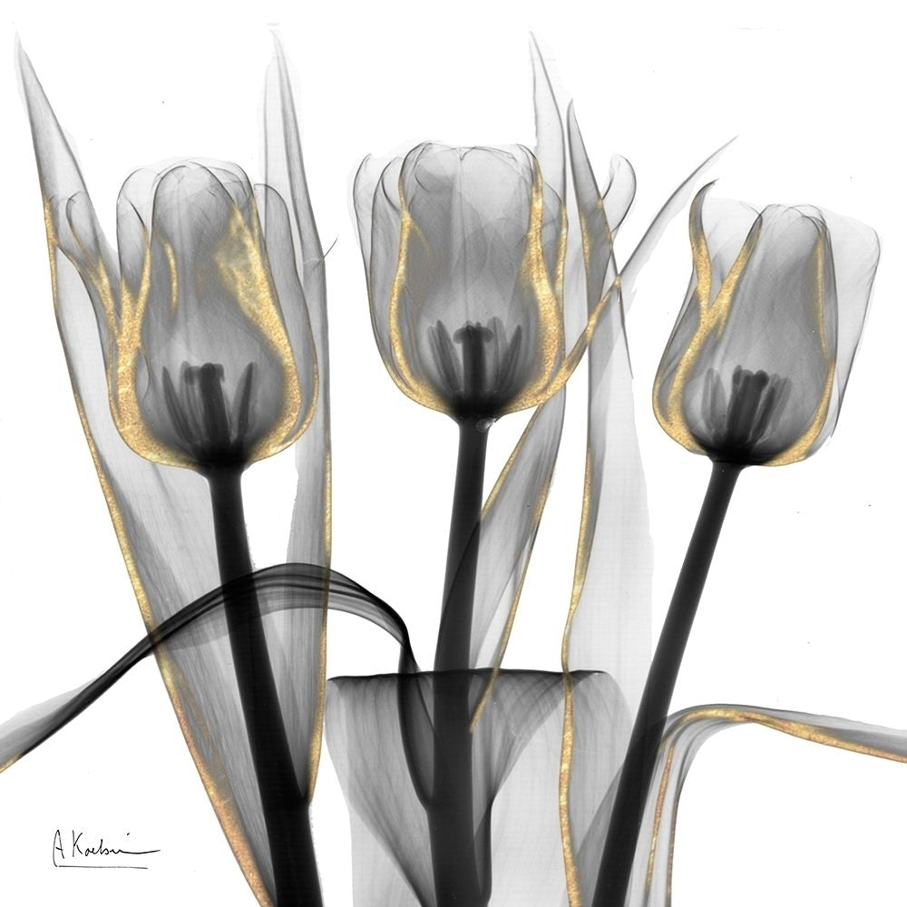 Gold Embellished Tulips 4 Poster Print by Albert Koetsier-VARPDXAK8SQ222D Image 1