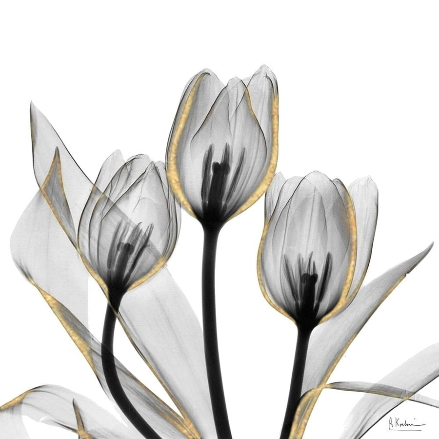 Gold Embellished Tulips 5 Poster Print by Albert Koetsier-VARPDXAK8SQ222E Image 1