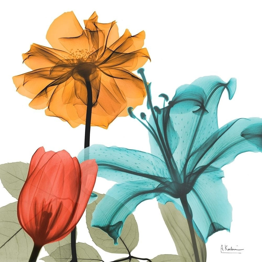 Inspired Bunch 3 Poster Print by Albert Koetsier-VARPDXAK8SQ223C Image 1