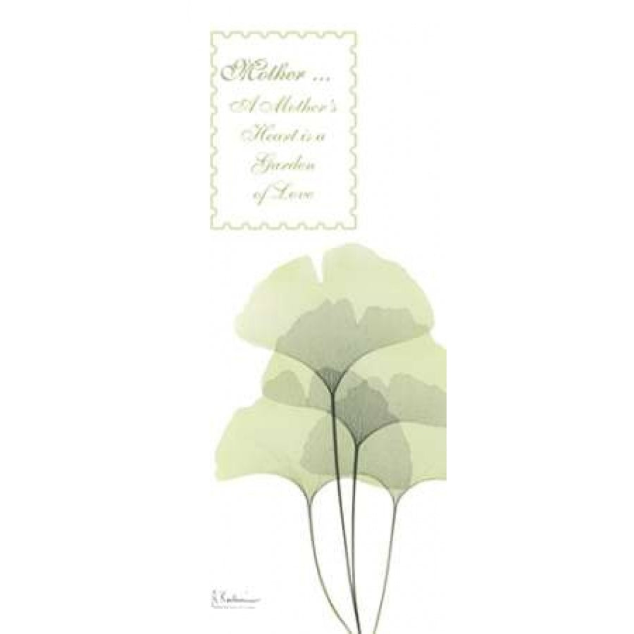 Ginkgo - Mother Poster Print by Albert Koetsier-VARPDXAKPL062 Image 1