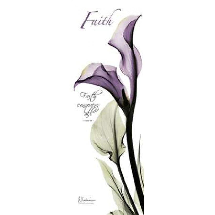 Calla Lily in Purple - Faith Poster Print by Albert Koetsier-VARPDXAKPL082B2 Image 1