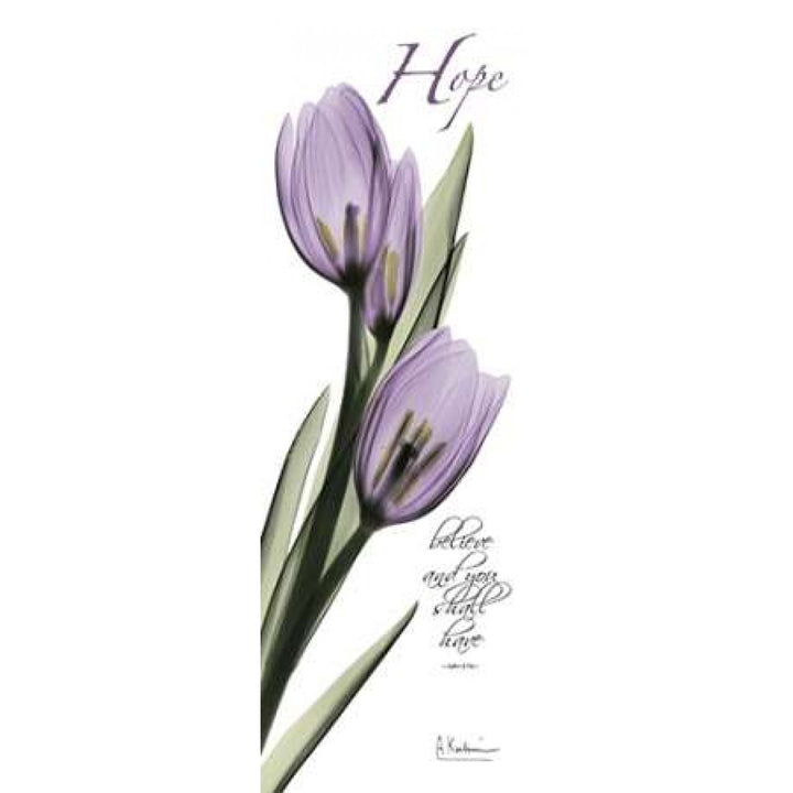 Tulips in Purple - Hope Poster Print by Albert Koetsier-VARPDXAKPL085A2 Image 2