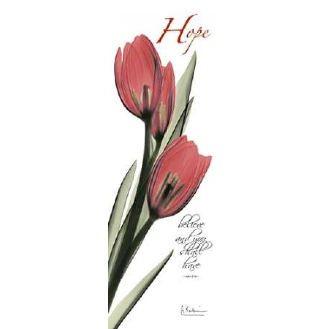 Tulips in Red - Hope Poster Print by Albert Koetsier-VARPDXAKPL085B Image 2