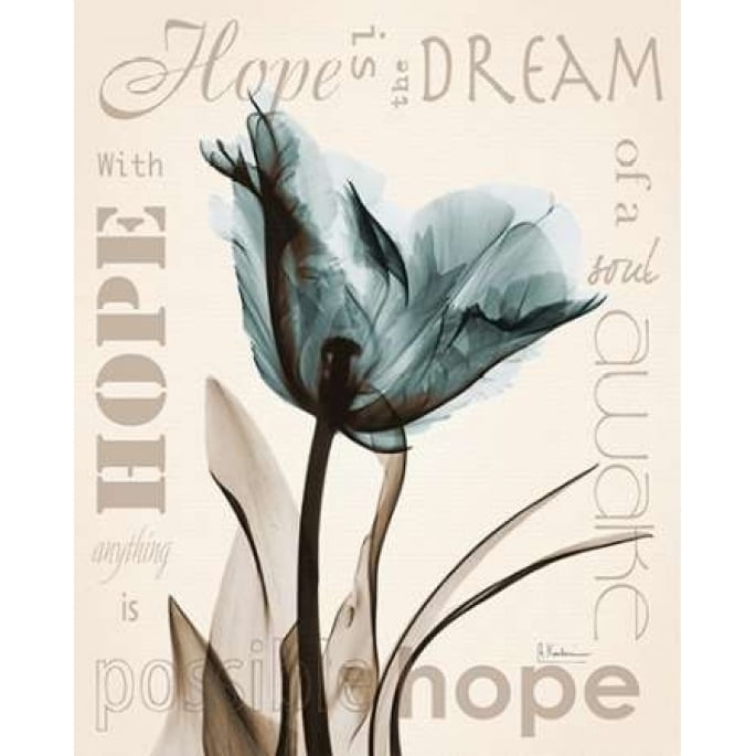 Hope Tulip Poster Print by Albert Koetsier-VARPDXAKXRC352C Image 2