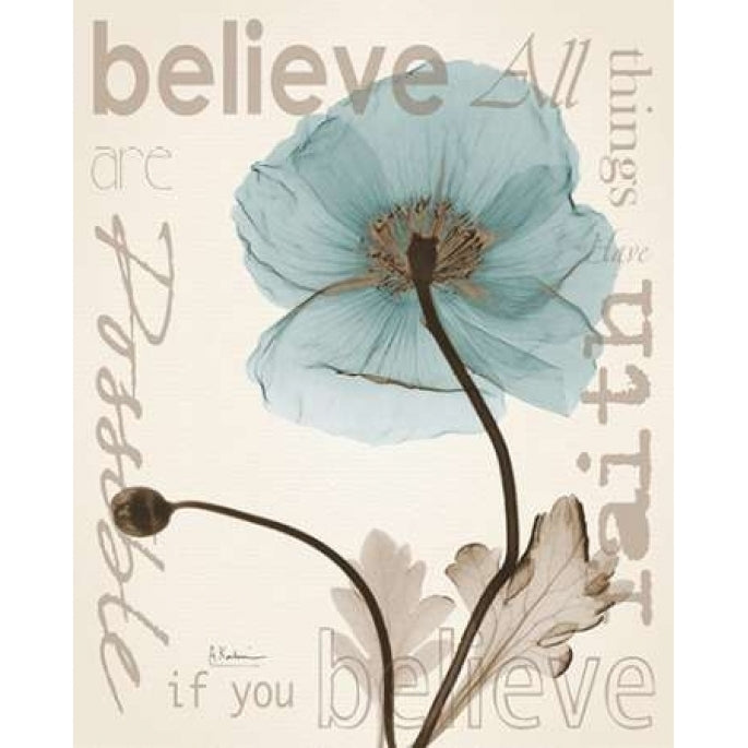 Believe Poppy Poster Print by Albert Koetsier-VARPDXAKXRC352B Image 1