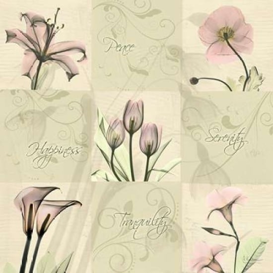 Spring Squares 1 Poster Print by Albert Koetsier-VARPDXAKXSQ150 Image 2