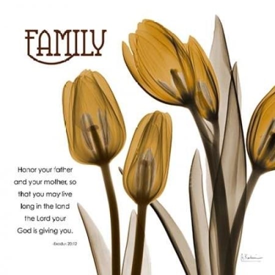 TulipsFamily Poster Print by Albert Koetsier-VARPDXAKXSQ351A1 Image 1