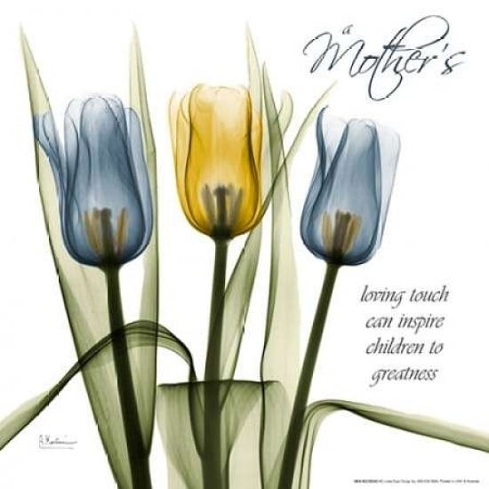 Tulips Kindness Poster Print by Albert Koetsier-VARPDXAKXSQ353A2 Image 2