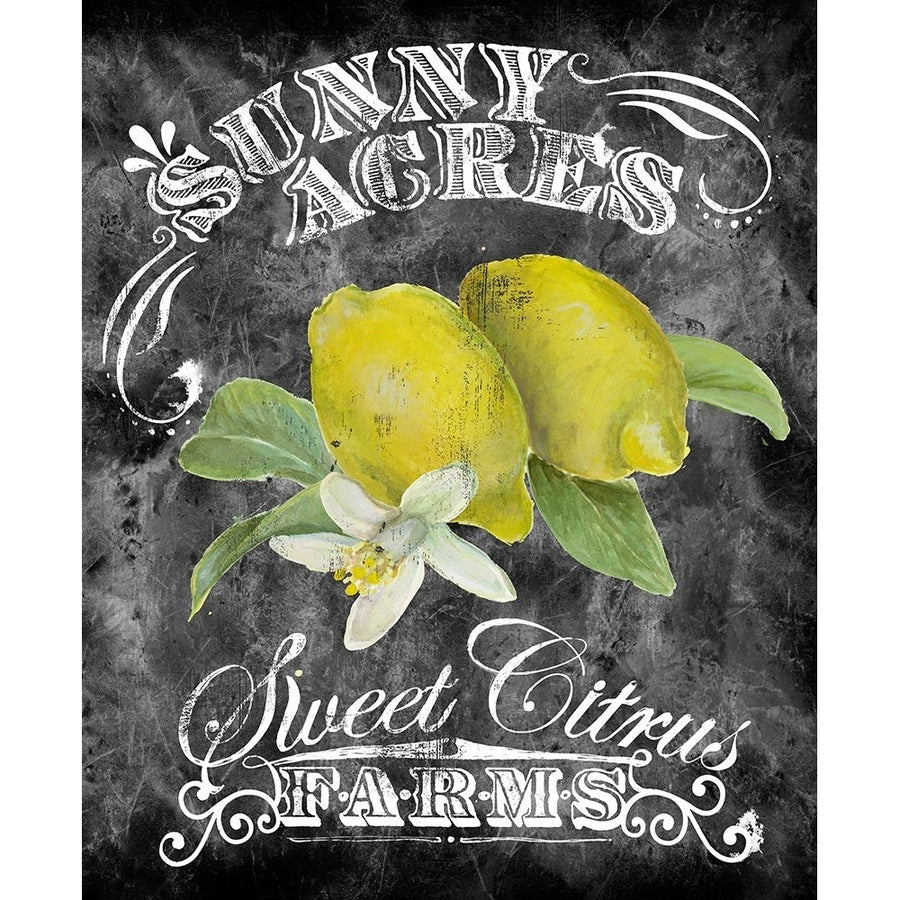 Sunny Acres Poster Print - Licensing Studio Art-VARPDXALIZOE138353 Image 1