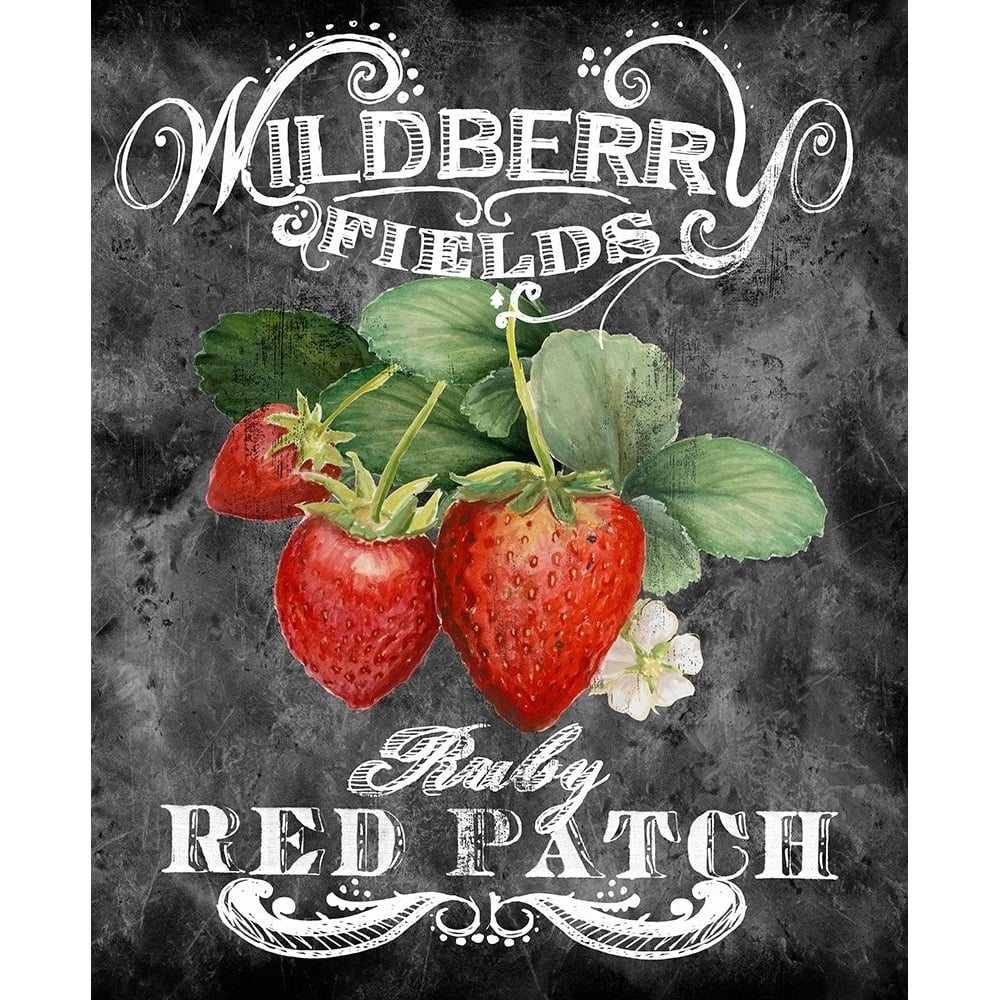 Wildberry Fields Poster Print - Licensing Studio Art-VARPDXALIZOE138354 Image 1