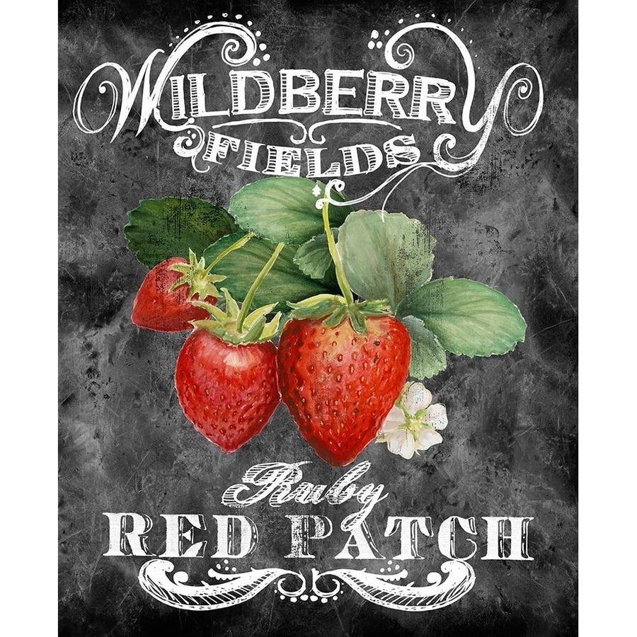 Wildberry Fields Poster Print - Licensing Studio Art-VARPDXALIZOE138354 Image 1