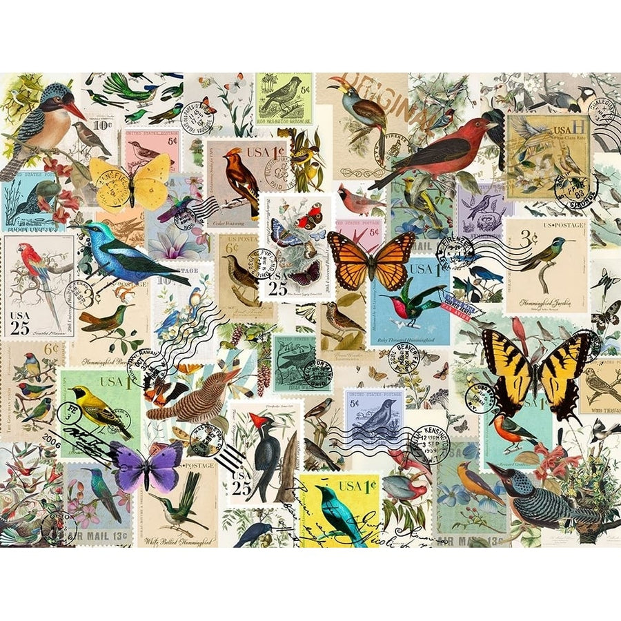 Stamp Collector - Birds and Butterflies Poster Print - Licensing Studio Art-VARPDXALIZOE258020 Image 1