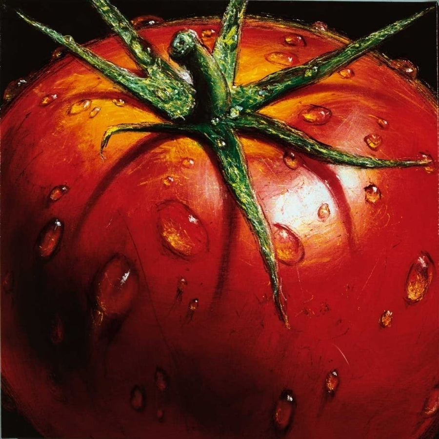 Tomato Poster Print by AlmaCh AlmaCh-VARPDXALM4665 Image 1